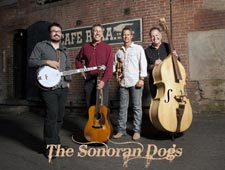 The Sonoran Dogs